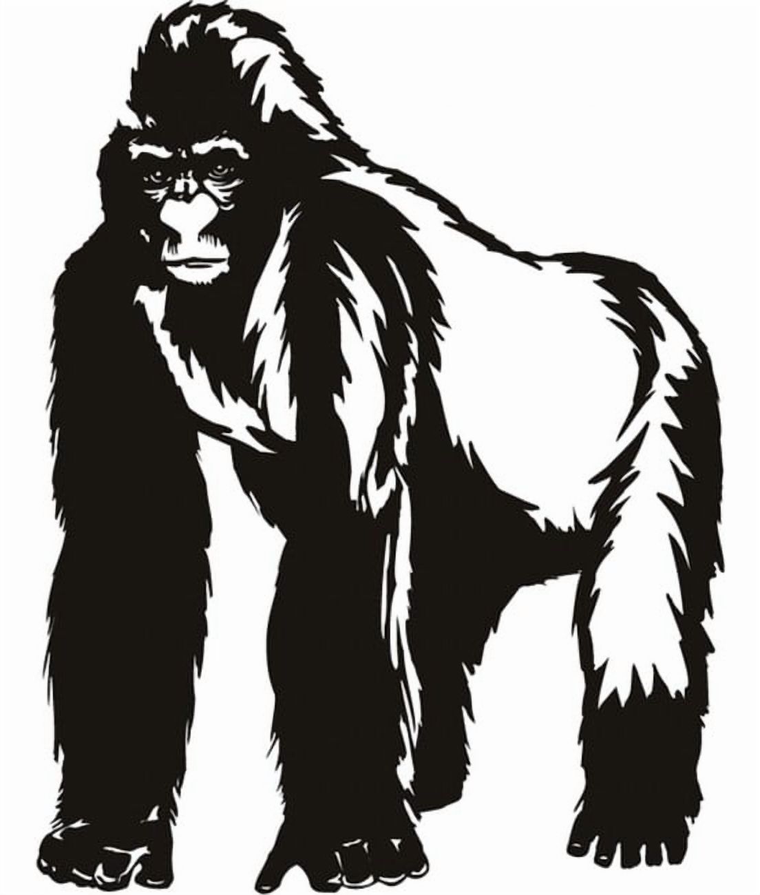 Rienda Libre Graphics - Decomural Gorilla Monkey Ws-16238