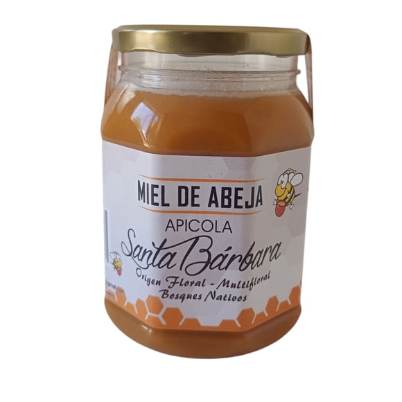 Miel de abeja 1 kg Multifloral