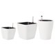 thumbnail image 5 of 3 Uds Macetas De Riego Automático Solución De Agua Automática Para Plantas Bonsái, 5 of 5