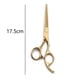thumbnail image 2 of Tijeras profesionales para cortar el cabello, longitud total de 6", para uso en peluquería y hogar., 2 of 5