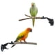 thumbnail image 3 of 2 Pcs Parrot Perch Stand, Strong Suction Cup Bird Perch, para ventana espejo coche ducha azulejos cerámicos baño madera percha de entrenamiento (de pie polo + rama del árbol 15cm), 3 of 3