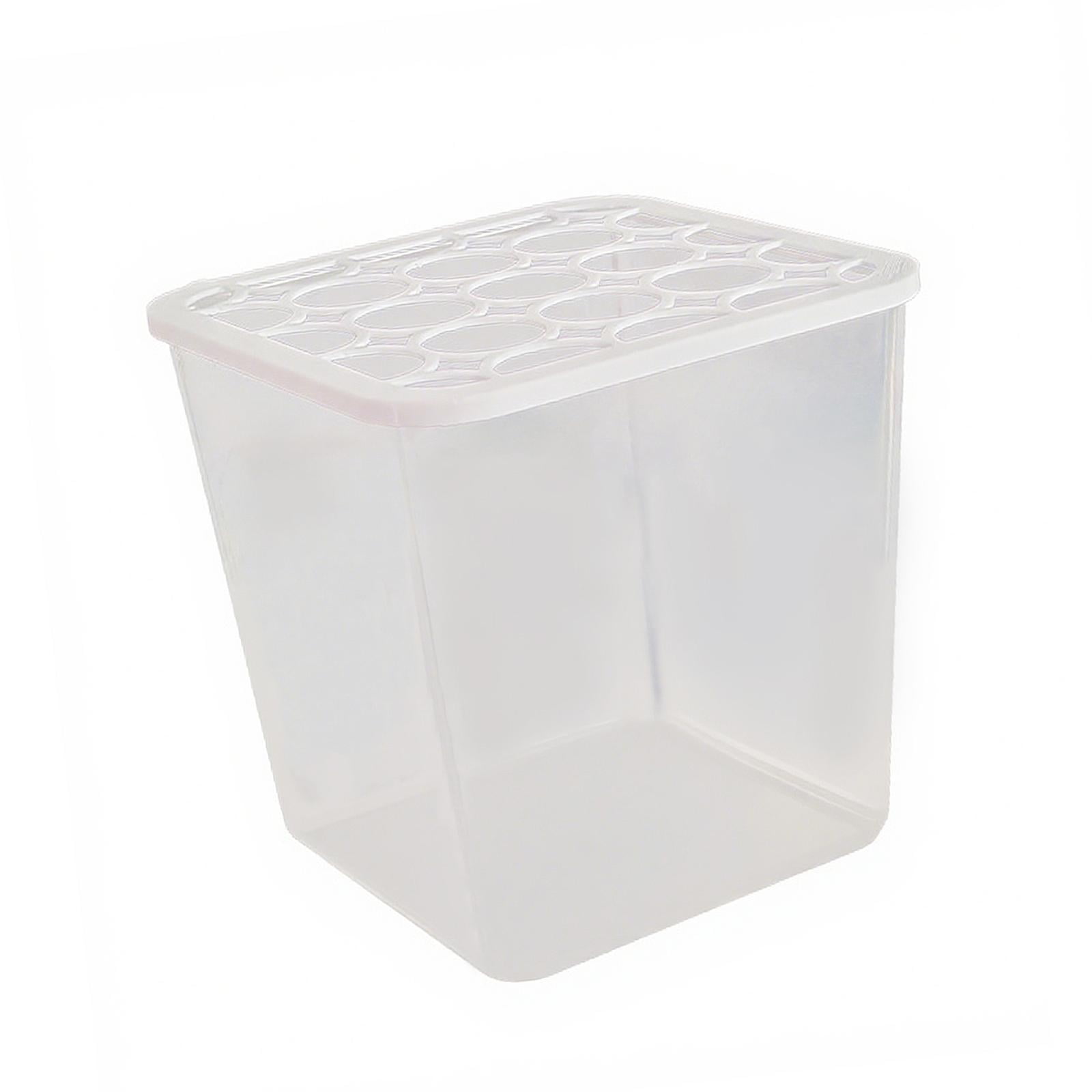 Bothyi - Macetero Hidropónico Con Forma De Pez, Ahorra Espacio, Para Oficina, Alféizar De Ventana, Interior, Con Agujero Redondo.