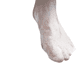 thumbnail image 1 of Tapete Goma Antideslizante Piso De Ducha Baño 36×69cm, 1 of 3