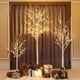 thumbnail image 3 of Luz LED Birch Tree Lightshare de 1,2 m, 1,8 m y 2,4 m, color blanco cálido, 3 of 3