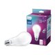 thumbnail image 1 of Bombilla LED PHILIPS A21 de 3 niveles de brillo, 5000 K luz diurna, 1 of 8