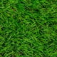 thumbnail image 1 of Pasto Sintético Foresta P30 Mm 1100 Grs - Rollo 7 X 4 Mt, 1 of 2