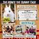 thumbnail image 3 of Juego de mesa Unsolved Case Files Honey The Bunny Family, 3 of 9
