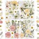 thumbnail image 1 of Flores Secas Prensadas LUXEEASE 80 Unidades, 1 of 3
