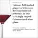 thumbnail image 3 of Copa de vino Zwiesel Glas Pure Cabernet Red Wine 530 ml (juego de 6), 3 of 7