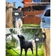 thumbnail image 4 of Temporizador de grifo para manguera de jardín, Insoma, programable, 1 salida, 4 of 7
