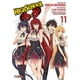 thumbnail image 1 of Manga Highschool Dxd 11, 1 of 2