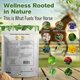 thumbnail image 3 of Suplemento para Caballos Silver Lining Herbs Laminae Support 454 g, 3 of 9