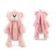 thumbnail image 1 of 40Cm Children Cute Plush toy Lovely Cartoon Brown Bear Backpack Kawaii School bag girls boys Kindergarten Birthday Festival gift, 1 of 3