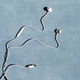 thumbnail image 5 of Audífonos Sudio V3 con cable USB‑C IPX4 blanco, 5 of 7