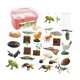 thumbnail image 2 of Adornos Para Tartas Con Forma De Ciclo De Vida De Los Animales, Herramientas Didácticas Realistas Con Caja De Almacenamiento, Caja Rosa, 2 of 3