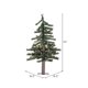 thumbnail image 2 of Árbol de Navidad Vickerman Natural Alpine 60 cm con LED blanco cálido, 2 of 2