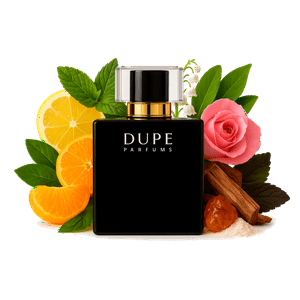 Beauty & Scent - Perfume Dupe Rinascimento Extrait 100 Ml