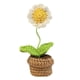 thumbnail image 1 of Flores De Ganchillo Tejidas A Mano, Mini Flores En Maceta, Accesorios Para Coche, Peque?as Y Lindas, 1 of 1