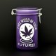 thumbnail image 3 of Frasco de Vidrio Ted Miller Innovation 15 cm con Tapa de Sujeción (I See Your Future), 3 of 4