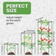 thumbnail image 2 of Cage para tomates K-Brands, paquete de 3, enrejado cuadrado de 104 cm, 2 of 8