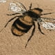 thumbnail image 3 of Cojín Rizzy Home Black Bees Buzzing, 14 x 26 pulgadas, plumón, 3 of 4