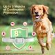 thumbnail image 3 of Collar antipulgas y garrapatas para perros Allyeah, 8 meses de protección, 3 of 6