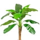 thumbnail image 4 of Planta Artificial Banano 120 cm. / 12 hojas Premium., 4 of 5