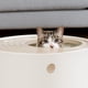 thumbnail image 4 of Caja de arena para gatos IRIS USA, entrada superior con cuchara, blanco/beige, 4 of 7