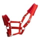 thumbnail image 1 of Espesar Pony Horse Halter Head Collar Hípica Estable Protectora Rojo M, 1 of 3