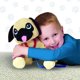 thumbnail image 5 of Peppy Pets Walking Pug Dog No requiere baterías rebotando, 5 of 10