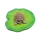 thumbnail image 5 of Escultura Simulada De Tortugas Posadas Sobre Hoja De Loto De 10 X 3,5 Cm Para Piscina, 5 of 5