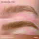 thumbnail image 5 of Set de tintas para tatuajes Perma Blend Cool Eyebrow Mini Vegan PMU, 5 of 9