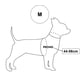 thumbnail image 1 of Arnés Petlounge Easy Glam Mascotas Perros Talla M negro, 1 of 9