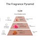 thumbnail image 2 of Perfume Eau de Parfum EZE 30 ml Floral y Amaderado (EDP), 2 of 8