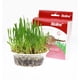 thumbnail image 1 of Kit Completo Siembra Pasto Para Gatos Bioline Cat Grass, 1 of 2