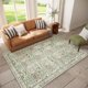 thumbnail image 3 of Alfombra Baksham 152 cm x 229 cm Lavable de estilo vintage oriental, 3 of 7