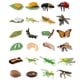 thumbnail image 1 of Set De 24 Figuras Del Ciclo De Vida De Insectos, 1 of 5