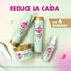 thumbnail image 4 of Acondicionador Sedal Prebióticos + Biotina, 340 ml, 4 of 6