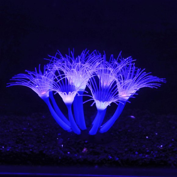 Escultura Bluecoco de Silicona Azul que Brilla en la Oscuridad