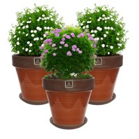 Mestiza - Set De 3 Maceta Kony 24Cm Morena Mamey Y Sus Platos