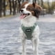 thumbnail image 1 of Arnés para Perro Best Pet Supplies Voyager Air Mesh Reflectante, 1 of 3