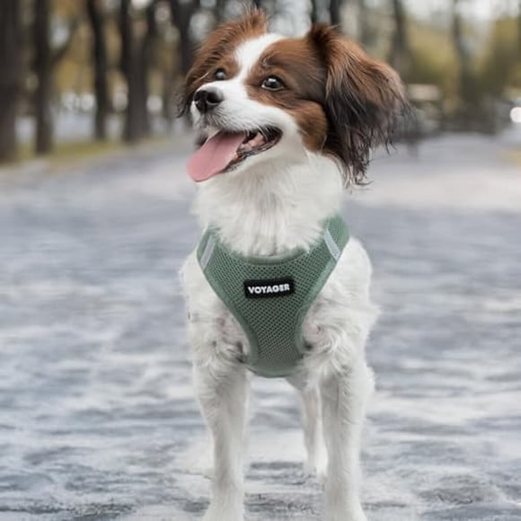 Arnés para Perro Best Pet Supplies Voyager Air Mesh Reflectante
