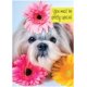 thumbnail image 1 of Tarjeta de cumpleaños Glory To Dog 13 cm x 18 cm Shih‑Tzu, 1 of 9