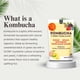thumbnail image 4 of Té En Polvo De Kombucha 4 Sabores 20 Sobres 100 G, 4 of 6