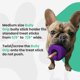 thumbnail image 3 of Soporte para bastones Bully Grip para perros, tamaño mediano, 3 of 8