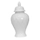 thumbnail image 1 of Tarro De Jengibre De Cerámica Moderno Con Tapa Tarro De Almacenamiento De Porcelana Arreglo Floral 20x20x42CM, 1 of 5