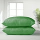 thumbnail image 1 of Set 2 Almohadas Premium Eco Colores 50x70 Verde, 1 of 3