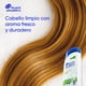 thumbnail image 5 of Shampoo Head & Shoulders Manzana Fresh 2 Pack De, 2 Un, 5 of 6