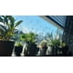 thumbnail image 5 of 18 pegatinas de ventana con forma de hongo y hoja para ventanas de vidrio - Calcomanías anticolisión para ventanas contra impactos de pájaros, pegatinas de prisma no adhesivas para ventanas, pegatinas, 5 of 6