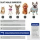 thumbnail image 3 of Botas Para Perros De Patas, Zapatos Antideslizantes De Cuatro Estaciones, Con Banda Reflectante, Para Perros Pequeños Y Medianos, Juego De Cuatro Piezas, Tamaño: 6 Yardas, 3 of 7